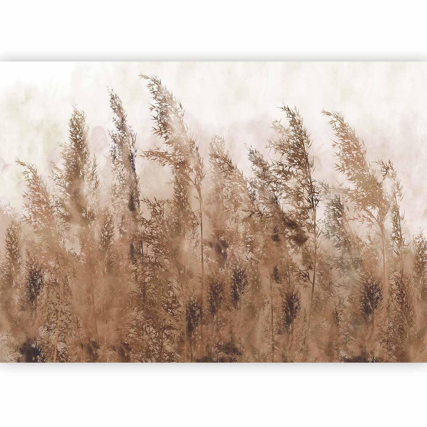 Fototapet - Tall Grasses - Brown-Fototapeter-Artgeist-peaceofhome.se