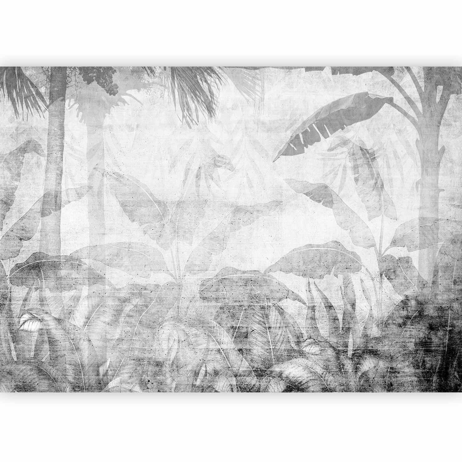 Fototapet - Vanishing jungle - landscape of exotic trees and leaves in grey tones-Fototapeter-Artgeist-peaceofhome.se