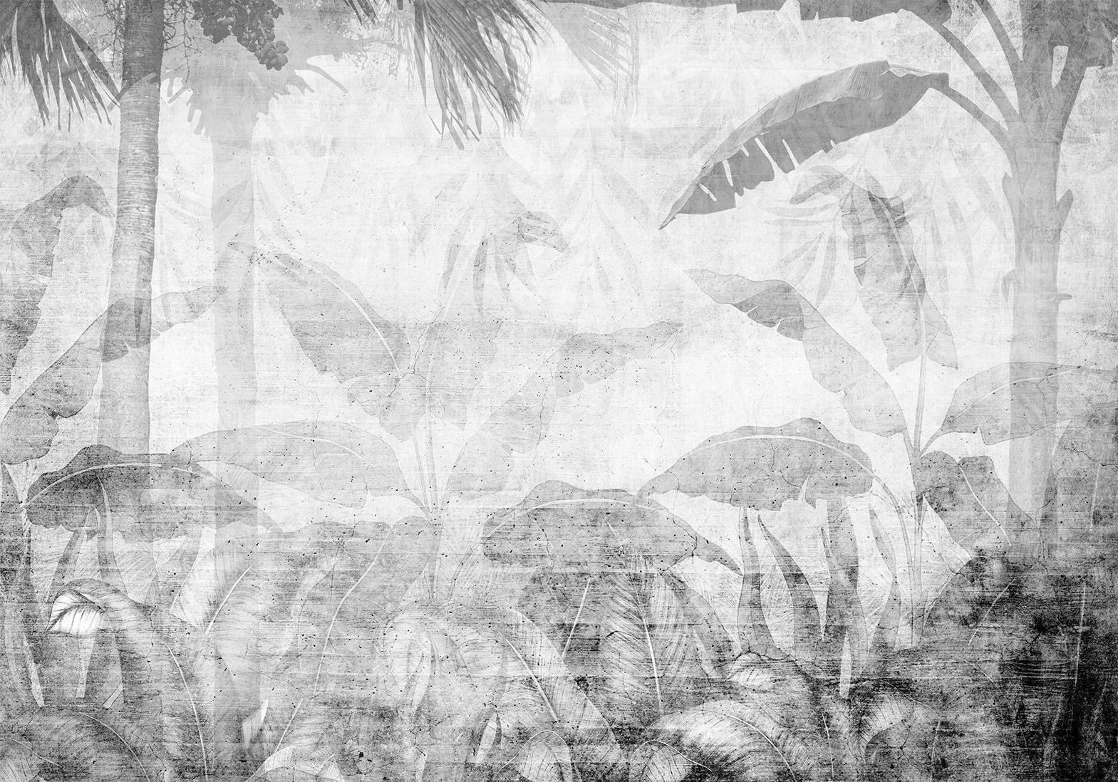 Fototapet - Vanishing jungle - landscape of exotic trees and leaves in grey tones-Fototapeter-Artgeist-peaceofhome.se