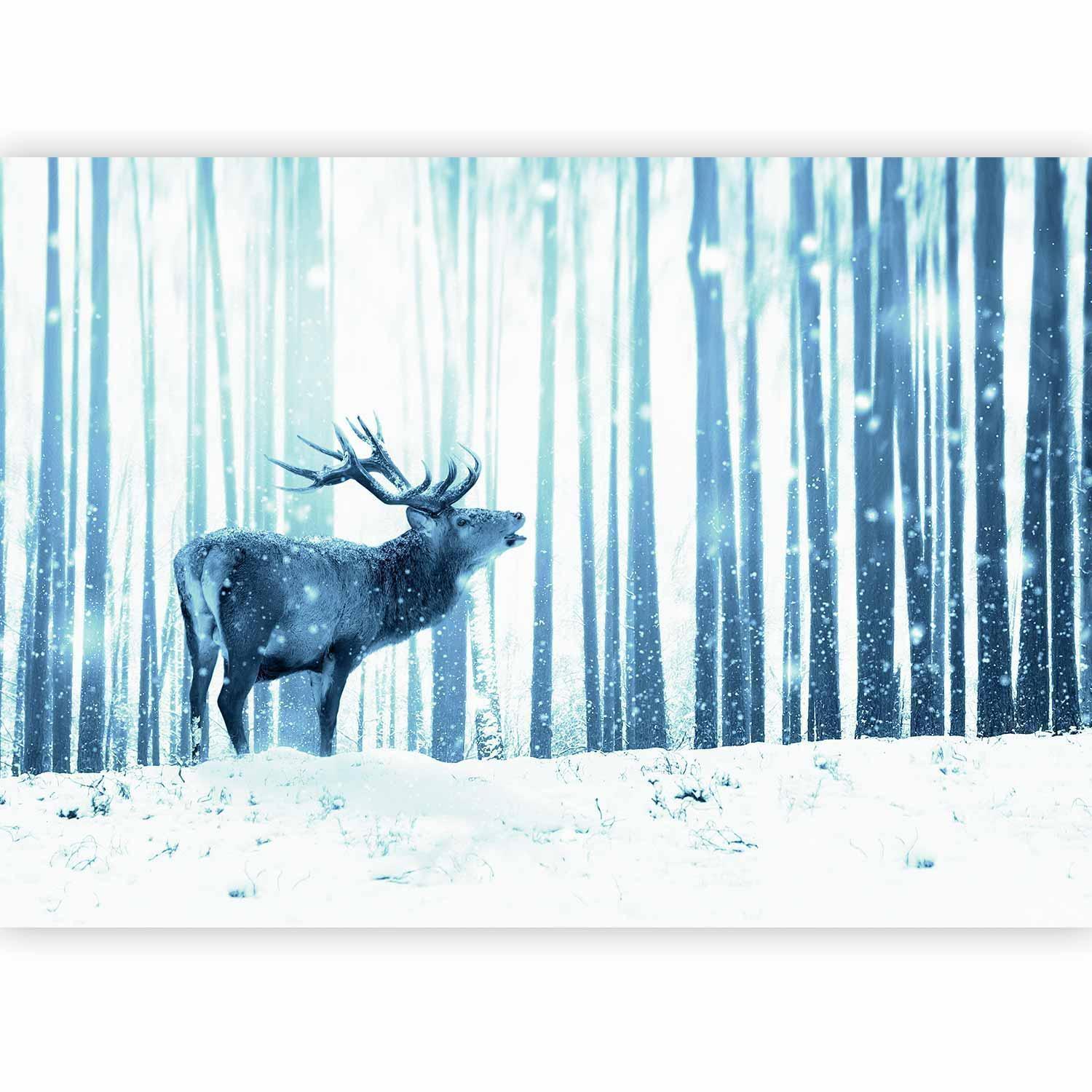 Fototapet - Winter animals - deer motif on a forest background in shades of blue-Fototapeter-Artgeist-peaceofhome.se