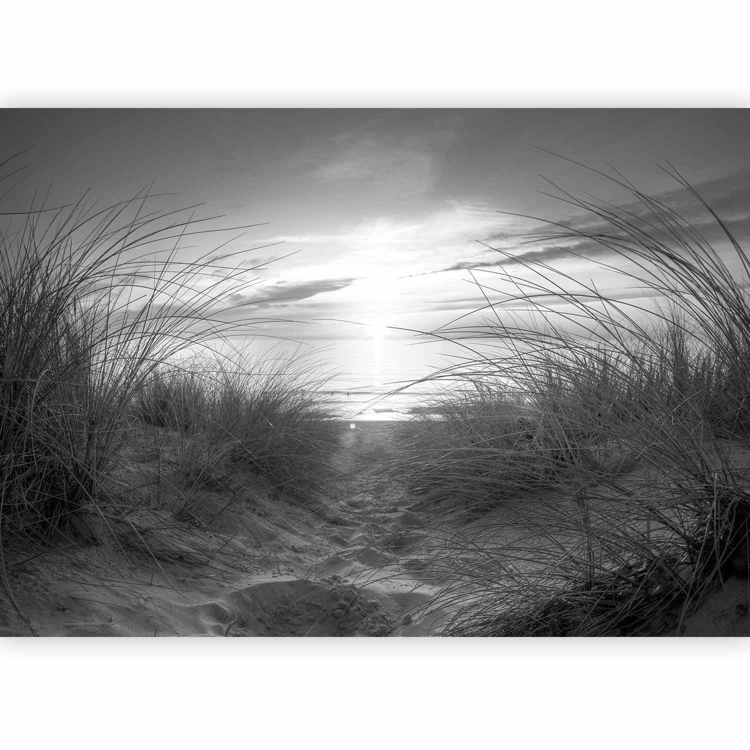 Fototapet - beach (black and white)-Fototapeter-Artgeist-peaceofhome.se