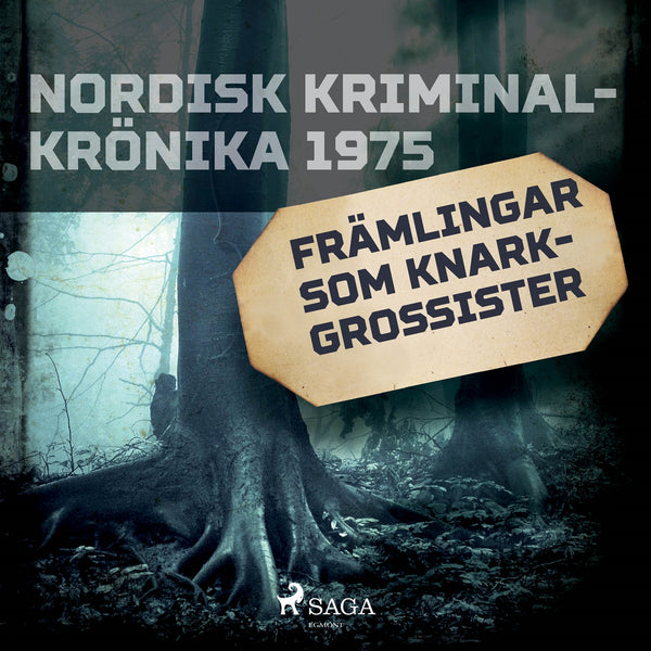 Främlingar som knarkgrossister – Ljudbok – Laddas ner-Digitala böcker-Axiell-peaceofhome.se
