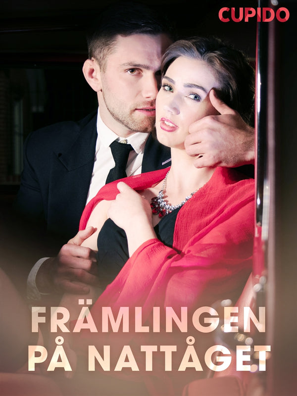 Främlingen på nattåget – E-bok – Laddas ner