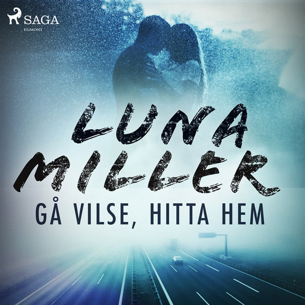 Gå vilse, hitta hem – Ljudbok – Laddas ner-Digitala böcker-Axiell-peaceofhome.se