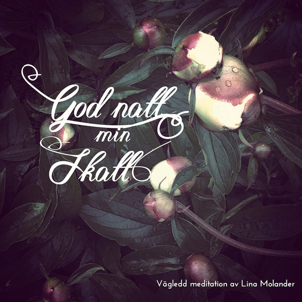 God natt min skatt – Ljudbok – Laddas ner-Digitala böcker-Axiell-peaceofhome.se