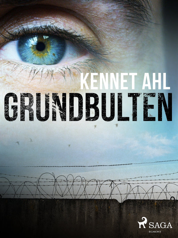 Grundbulten – E-bok – Laddas ner-Digitala böcker-Axiell-peaceofhome.se