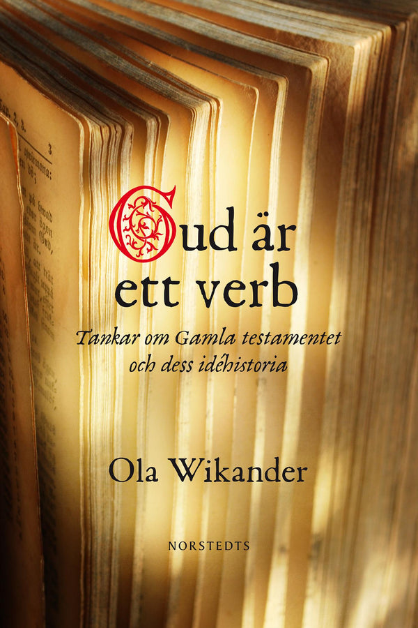 Gud är ett verb : tankar om Gamla Testamentet och dess idéhistoria – E-bok – Laddas ner-Digitala böcker-Axiell-peaceofhome.se