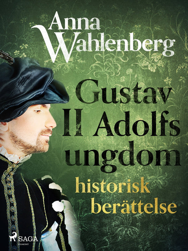 Gustav II Adolfs ungdom: historisk berättelse – E-bok – Laddas ner-Digitala böcker-Axiell-peaceofhome.se