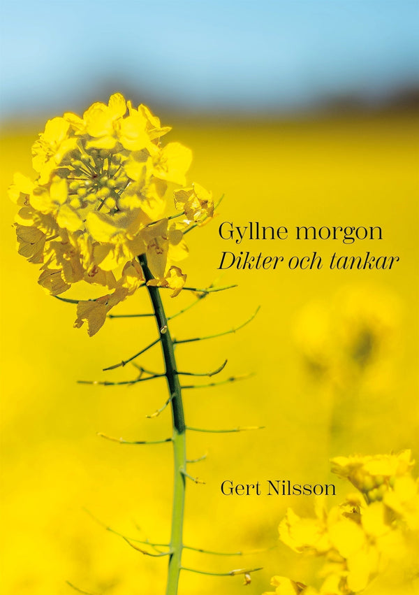Gyllne morgon: Dikter och tankar – E-bok – Laddas ner-Digitala böcker-Axiell-peaceofhome.se