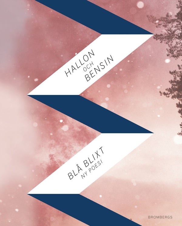 Hallon och bensin – E-bok – Laddas ner-Digitala böcker-Axiell-peaceofhome.se