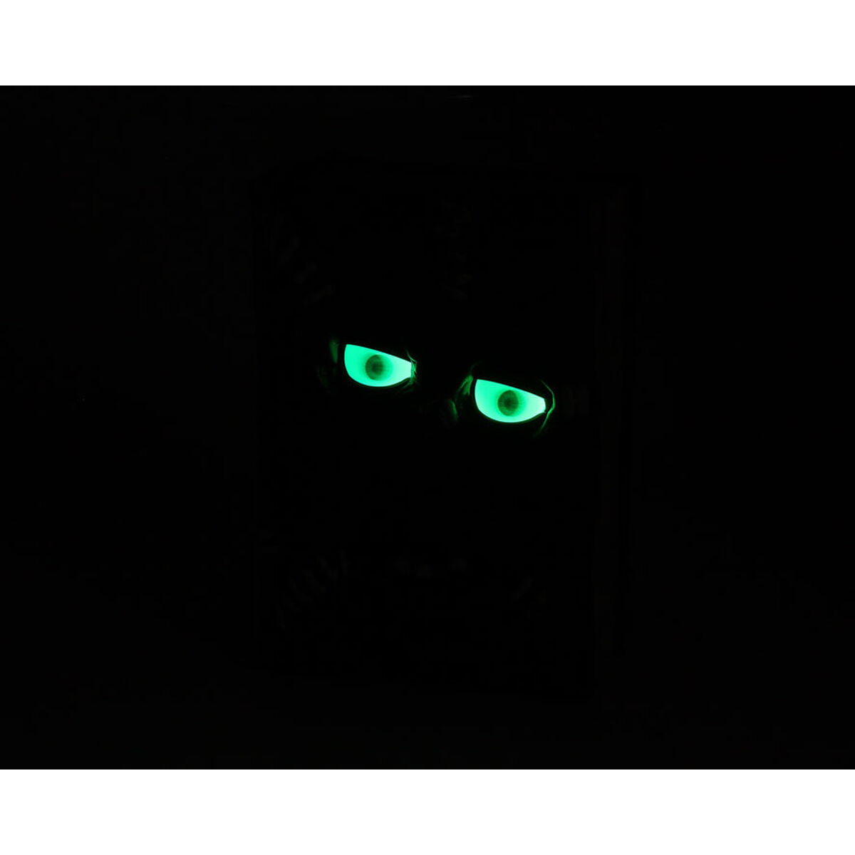 Halloweendekorationer 24 x 17 x 9 cm-Hem och matlagning, Heminredning-BigBuy Carnival-peaceofhome.se