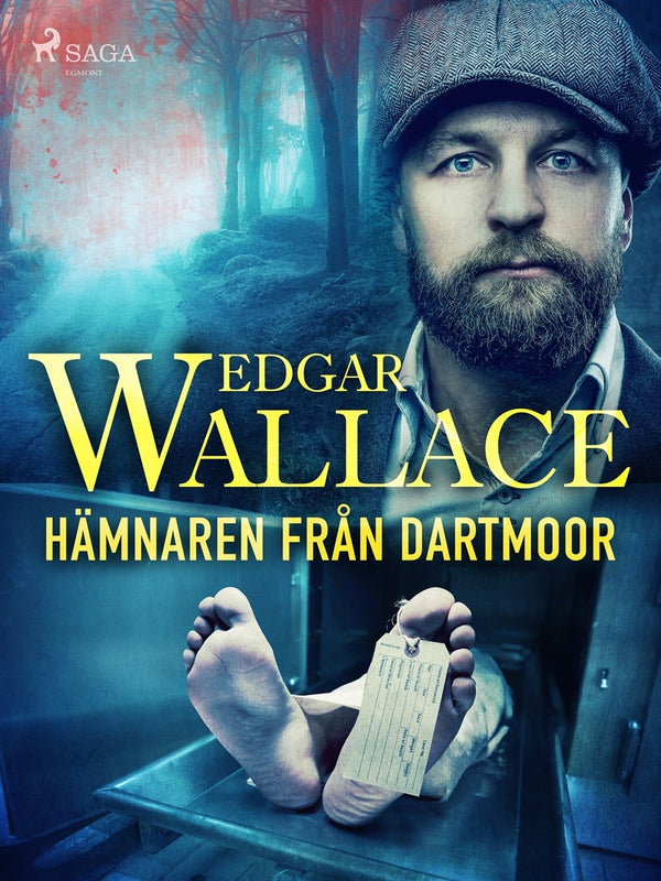 Hämnaren från Dartmoor – E-bok – Laddas ner-Digitala böcker-Axiell-peaceofhome.se