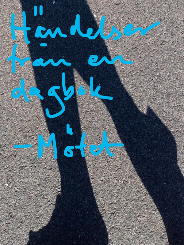 Händelser från en dagbok: Mötet – E-bok – Laddas ner-Digitala böcker-Axiell-peaceofhome.se