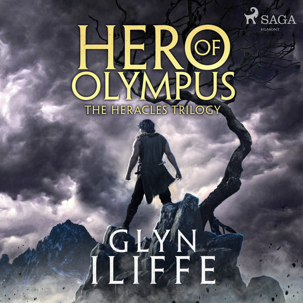 Hero of Olympus – Ljudbok – Laddas ner-Digitala böcker-Axiell-peaceofhome.se