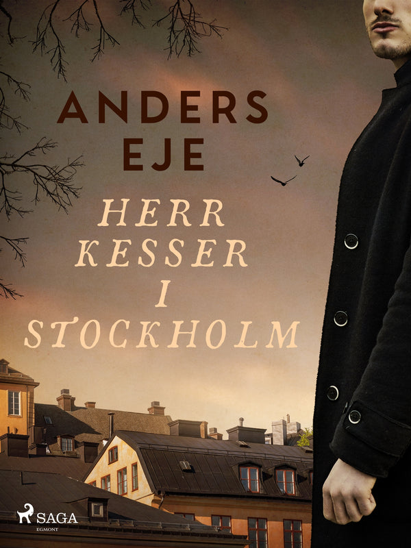 Herr Kesser i Stockholm – E-bok – Laddas ner-Digitala böcker-Axiell-peaceofhome.se