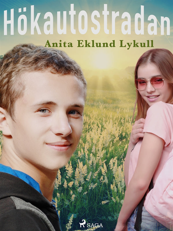 Hökautostradan – E-bok – Laddas ner-Digitala böcker-Axiell-peaceofhome.se