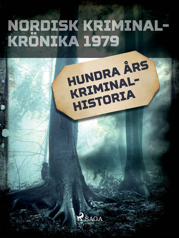 Hundra års kriminalhistoria – E-bok – Laddas ner-Digitala böcker-Axiell-peaceofhome.se