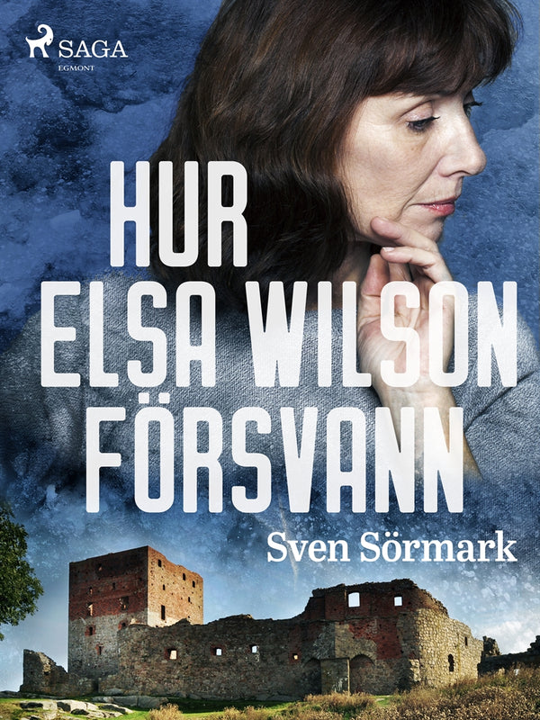 Hur Elsa Wilson försvann – E-bok – Laddas ner-Digitala böcker-Axiell-peaceofhome.se