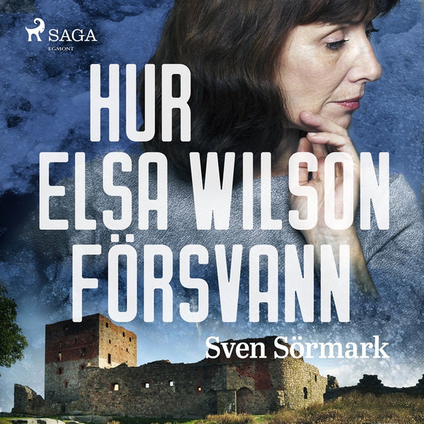 Hur Elsa Wilson försvann – Ljudbok – Laddas ner-Digitala böcker-Axiell-peaceofhome.se