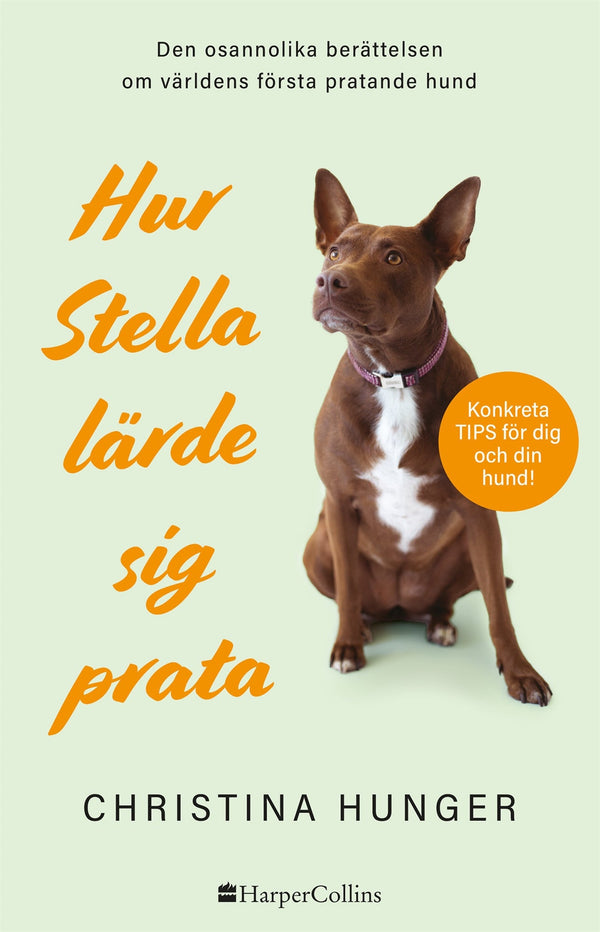 Hur Stella lärde sig prata – E-bok – Laddas ner-Digitala böcker-Axiell-peaceofhome.se