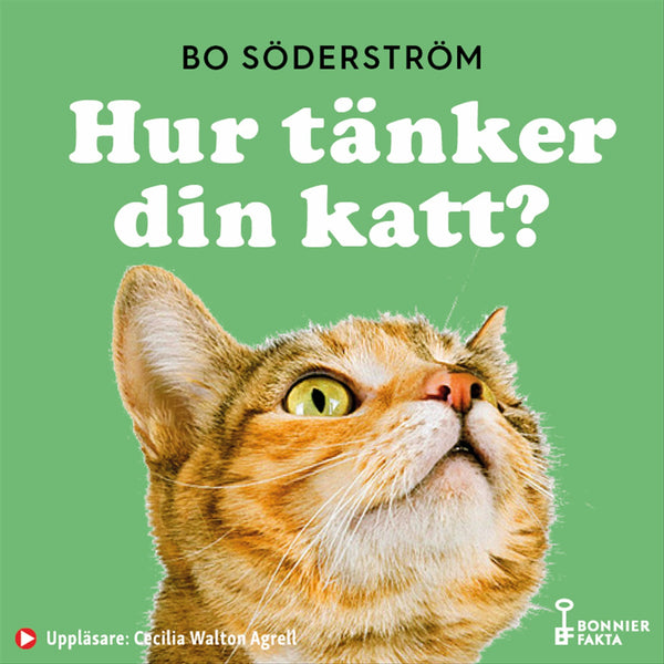 Hur tänker din katt? – Ljudbok – Laddas ner