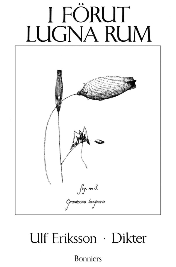 I förut lugna rum : dikter – E-bok – Laddas ner-Digitala böcker-Axiell-peaceofhome.se