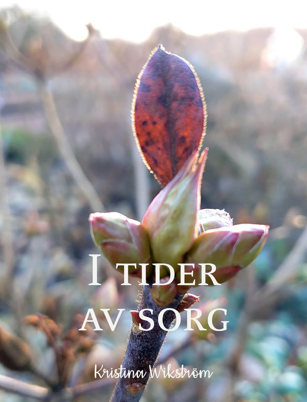 I tider av sorg – E-bok – Laddas ner-Digitala böcker-Axiell-peaceofhome.se
