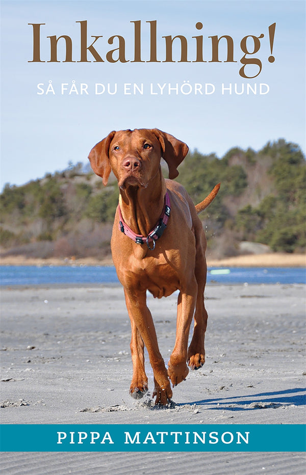 Inkallning! : så får du en lyhörd hund – E-bok – Laddas ner-Digitala böcker-Axiell-peaceofhome.se