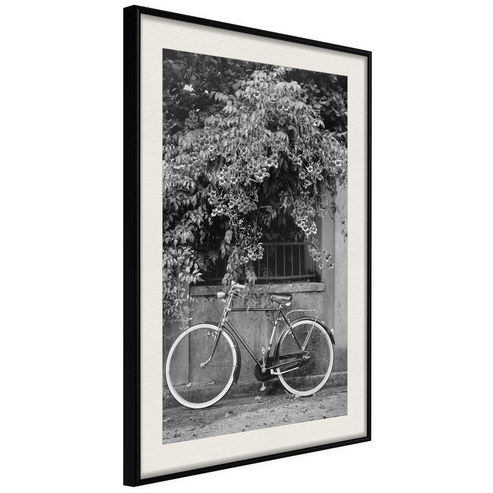 Inramad Poster / Tavla - Bicycle with White Tires-Poster Inramad-Artgeist-peaceofhome.se