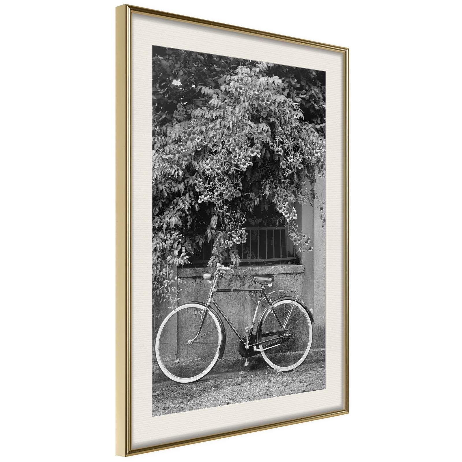 Inramad Poster / Tavla - Bicycle with White Tires-Poster Inramad-Artgeist-peaceofhome.se