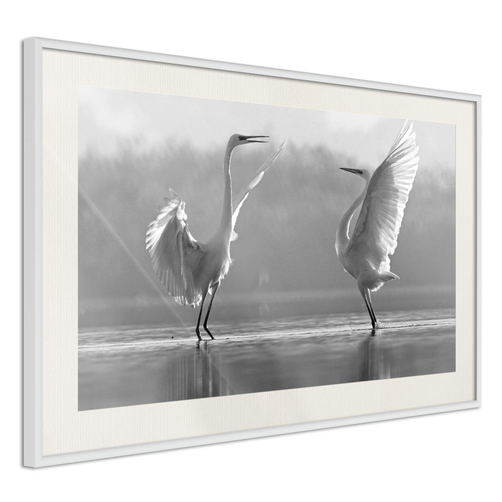 Inramad Poster / Tavla - Black and White Herons-Poster Inramad-Artgeist-peaceofhome.se