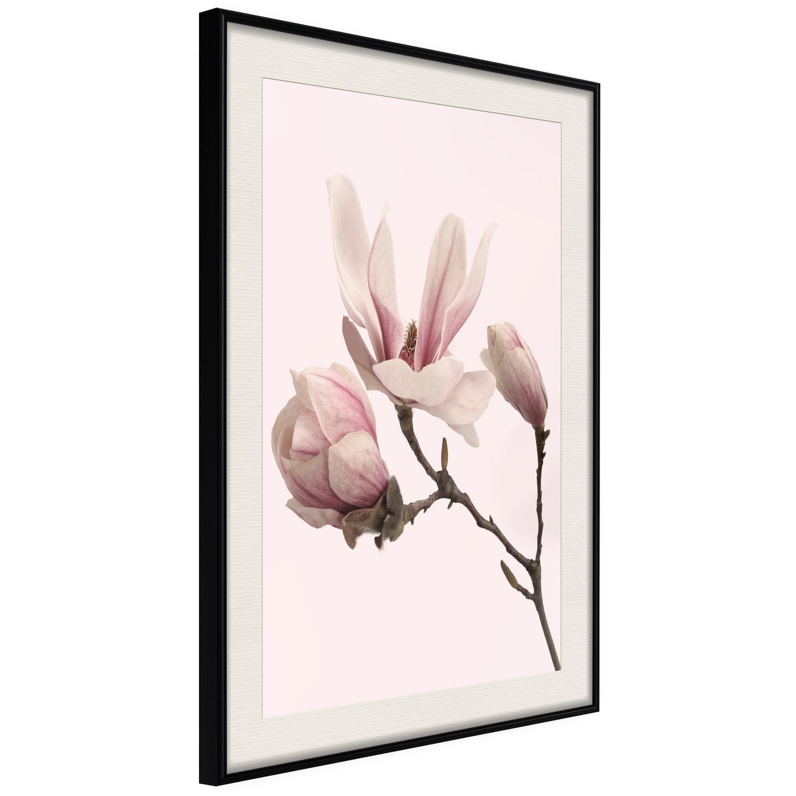 Inramad Poster / Tavla - Blooming Magnolias II-Poster Inramad-Artgeist-peaceofhome.se