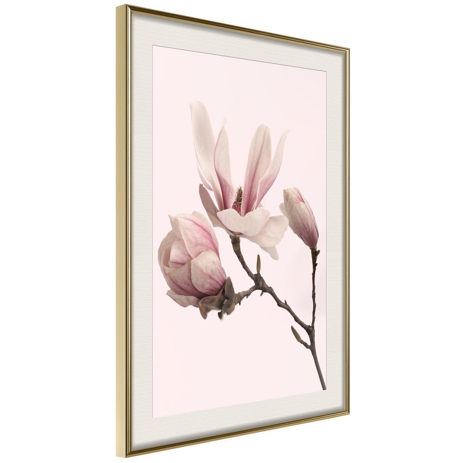 Inramad Poster / Tavla - Blooming Magnolias II-Poster Inramad-Artgeist-peaceofhome.se