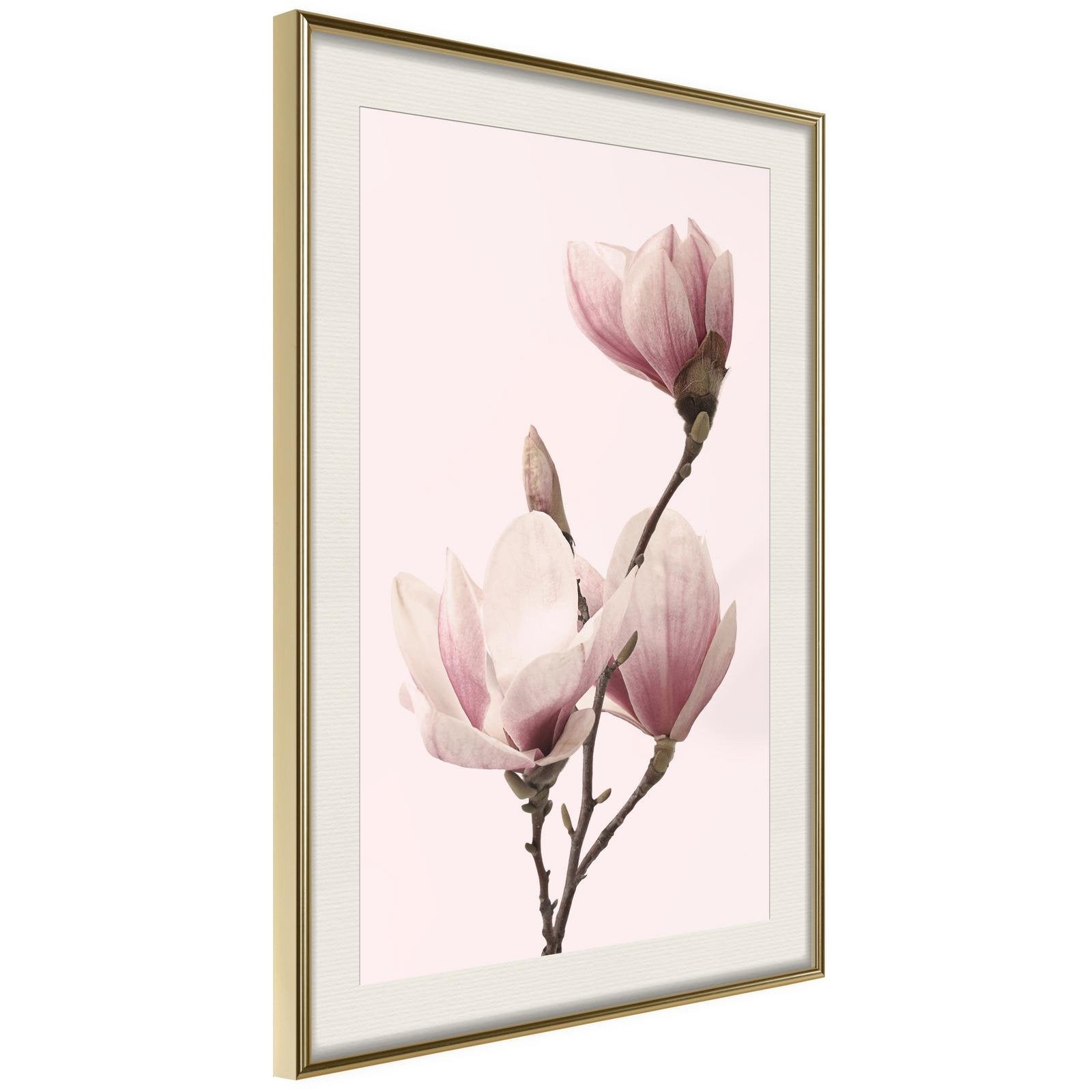 Inramad Poster / Tavla - Blooming Magnolias III-Poster Inramad-Artgeist-20x30-Guldram med passepartout-peaceofhome.se