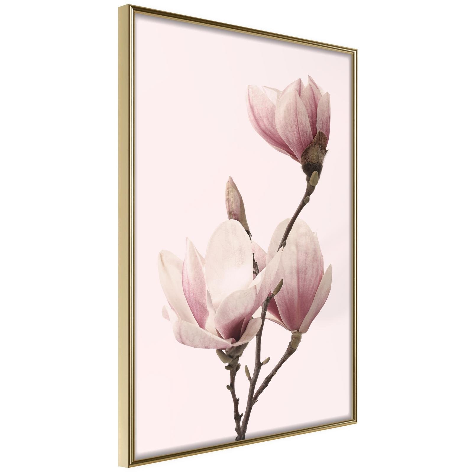 Inramad Poster / Tavla - Blooming Magnolias III-Poster Inramad-Artgeist-20x30-Guldram-peaceofhome.se