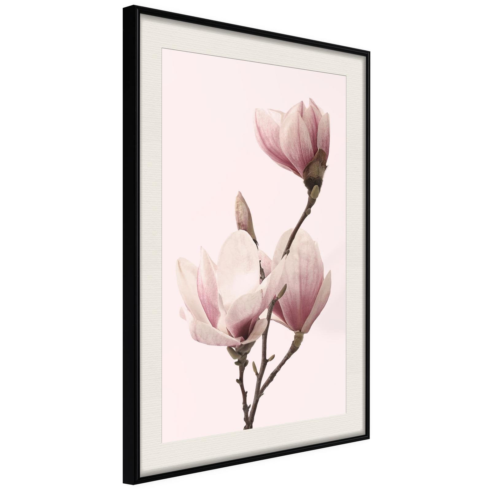 Inramad Poster / Tavla - Blooming Magnolias III-Poster Inramad-Artgeist-20x30-Svart ram med passepartout-peaceofhome.se