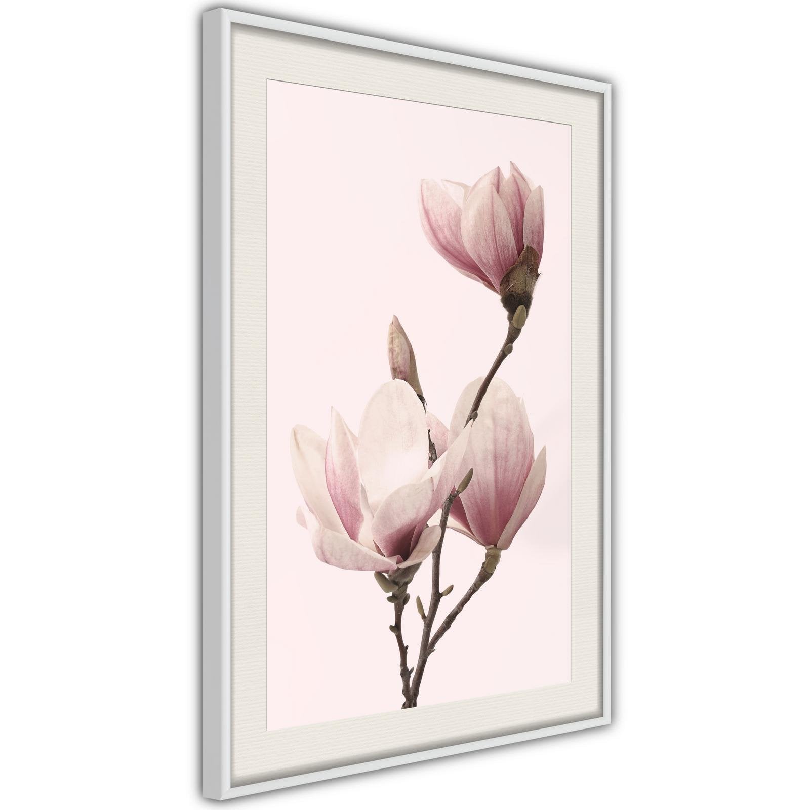 Inramad Poster / Tavla - Blooming Magnolias III-Poster Inramad-Artgeist-peaceofhome.se