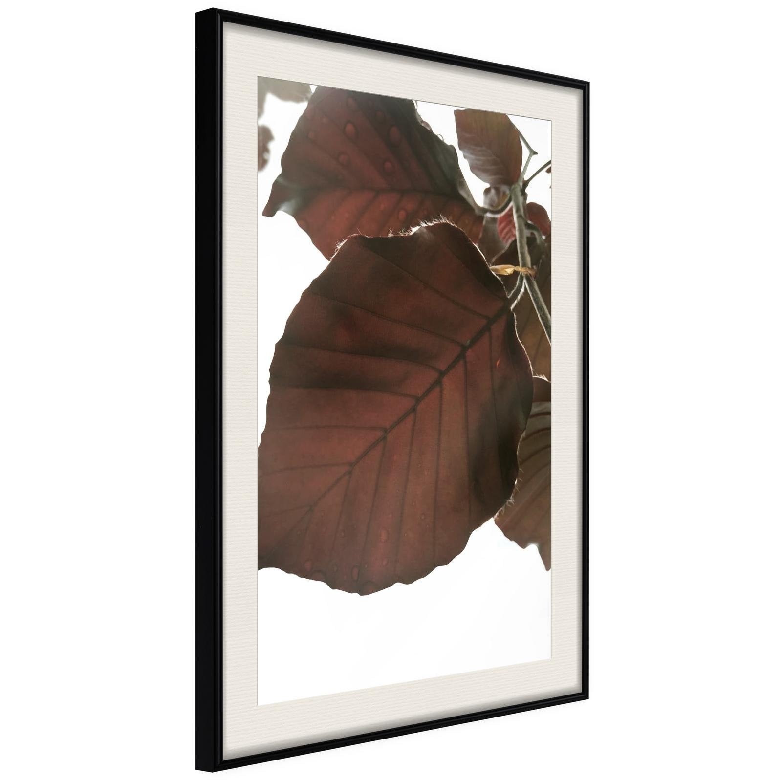 Inramad Poster / Tavla - Burgundy Tilia Leaf-Affisch-Artgeist-peaceofhome.se