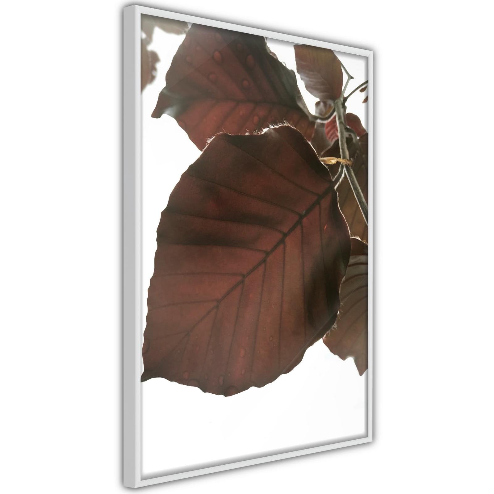 Inramad Poster / Tavla - Burgundy Tilia Leaf-Affisch-Artgeist-peaceofhome.se