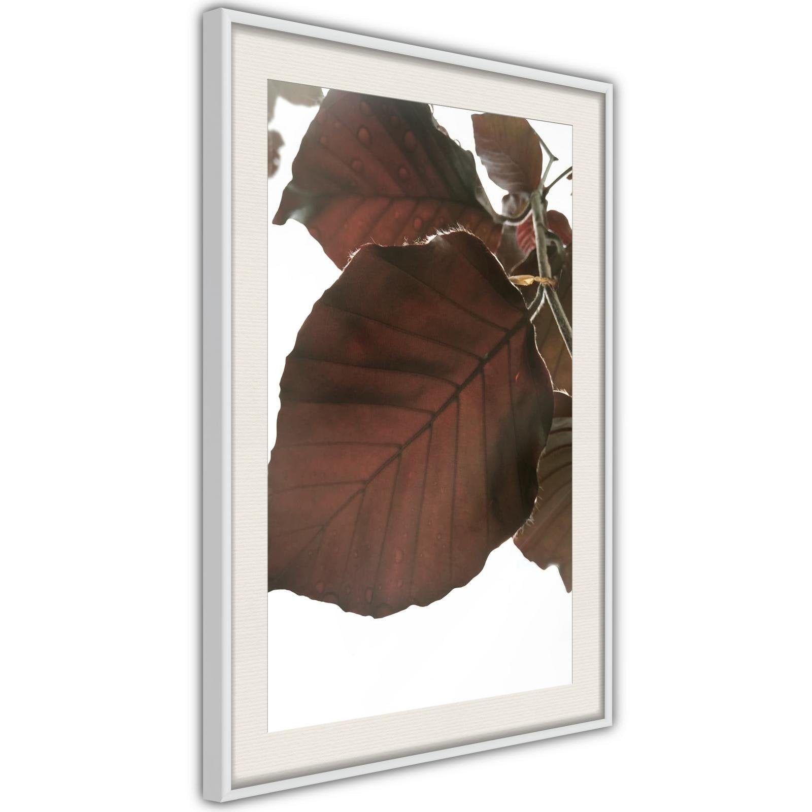 Inramad Poster / Tavla - Burgundy Tilia Leaf-Poster Inramad-Artgeist-peaceofhome.se