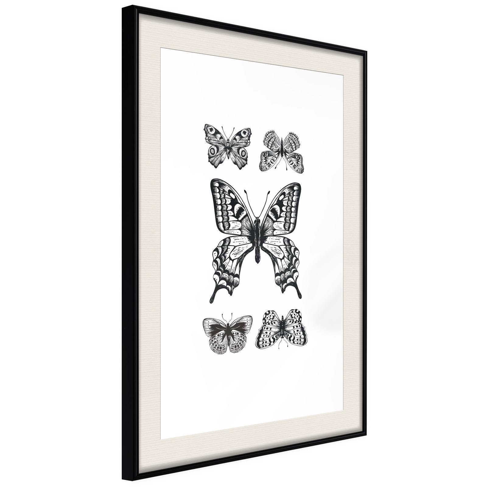 Inramad Poster / Tavla - Butterfly Collection IV-Poster Inramad-Artgeist-peaceofhome.se