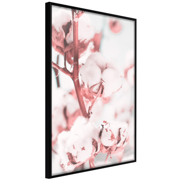 Inramad Poster / Tavla - Cotton Flowers-Affisch-Artgeist-peaceofhome.se