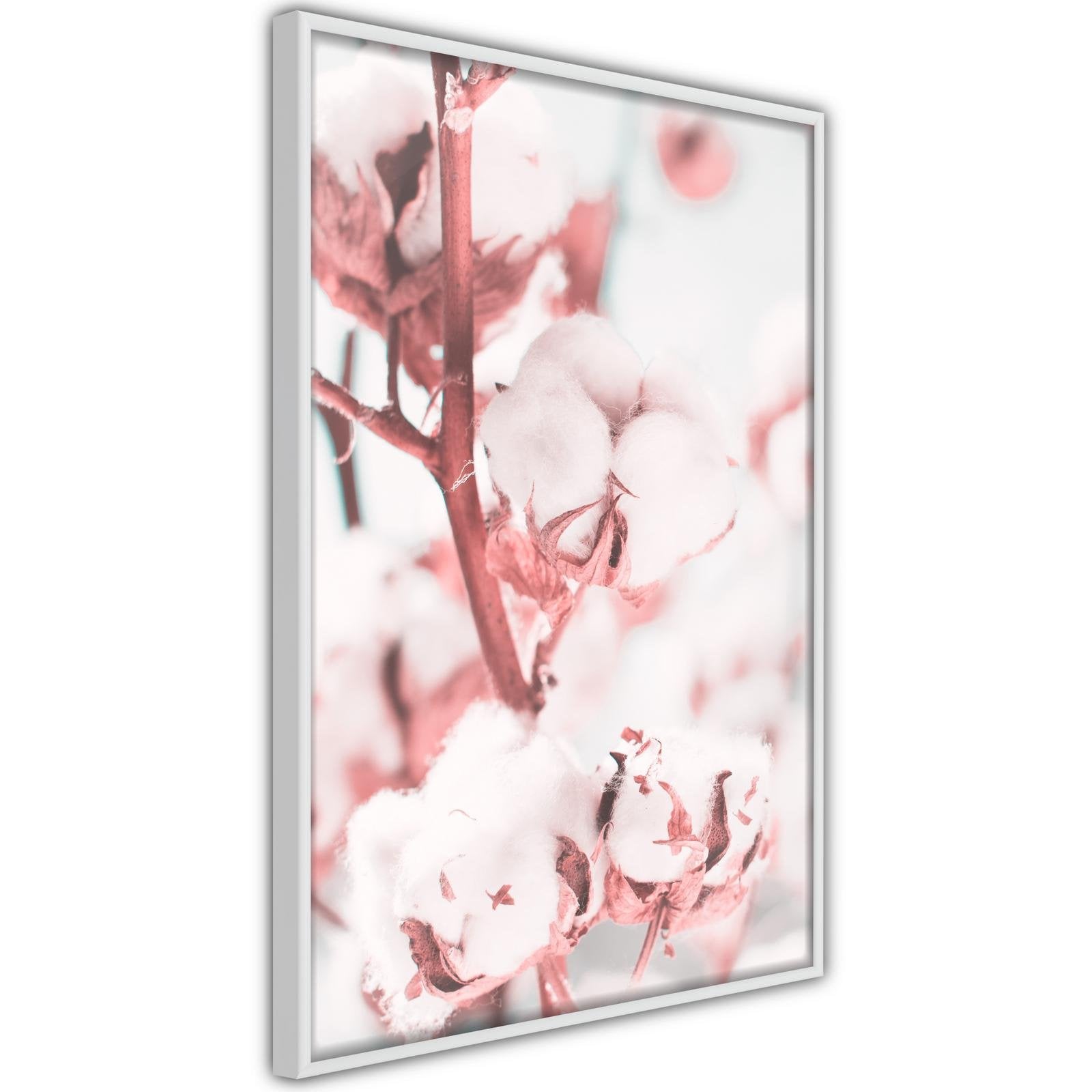 Inramad Poster / Tavla - Cotton Flowers-Poster Inramad-Artgeist-peaceofhome.se