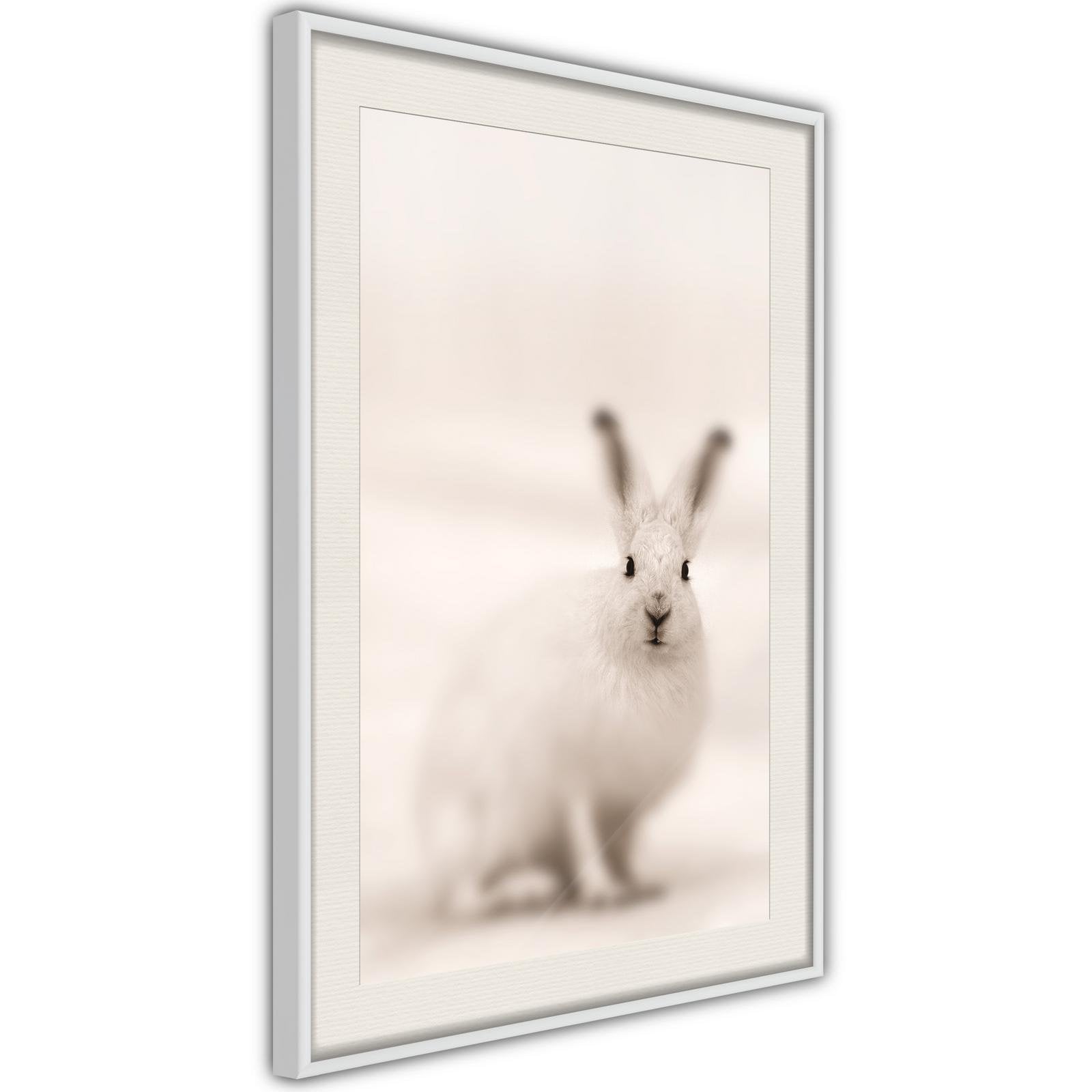 Inramad Poster / Tavla - Curious Rabbit-Affisch-Artgeist-peaceofhome.se