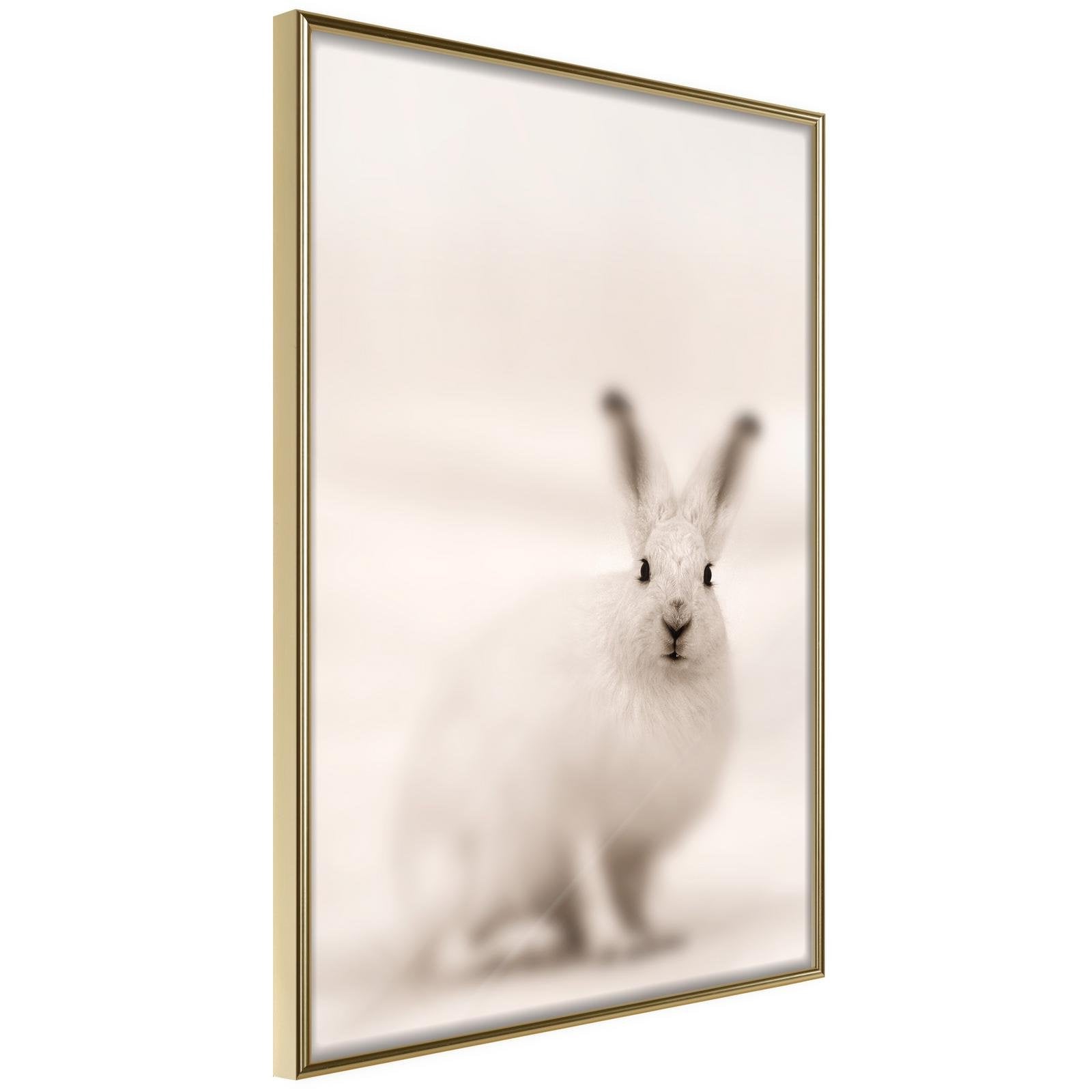 Inramad Poster / Tavla - Curious Rabbit-Affisch-Artgeist-peaceofhome.se