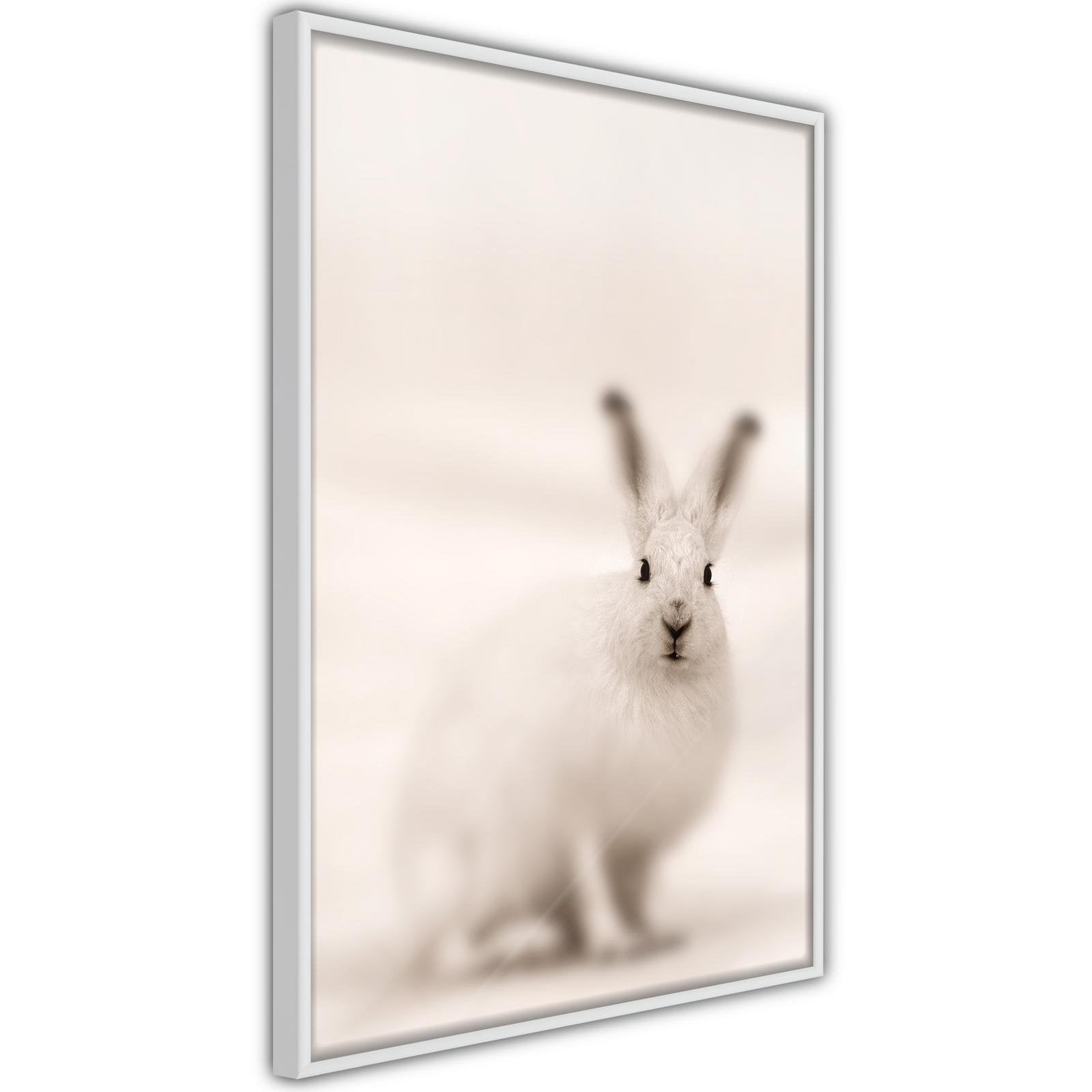 Inramad Poster / Tavla - Curious Rabbit-Affisch-Artgeist-peaceofhome.se