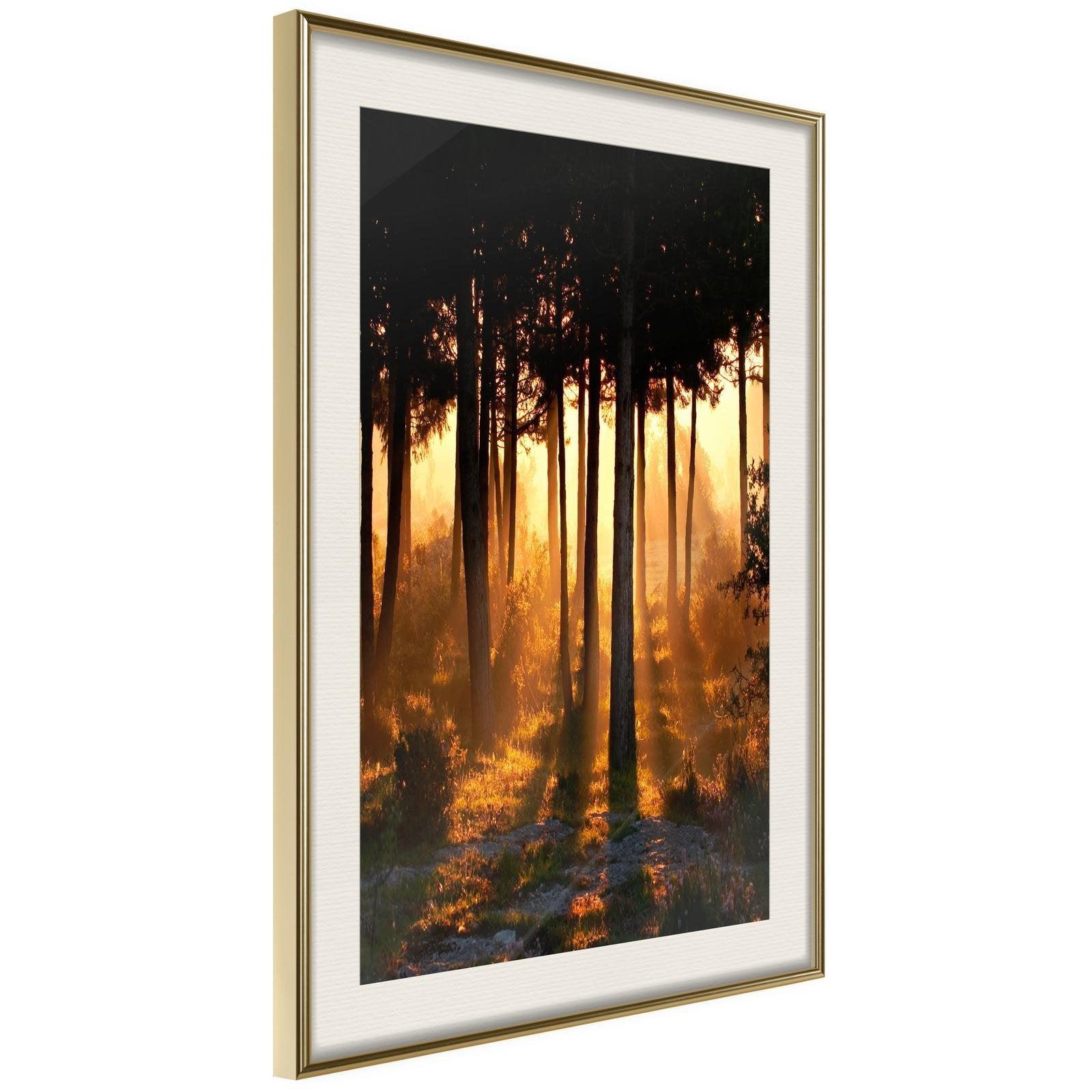 Inramad Poster / Tavla - Dark Tree Tops-Poster Inramad-Artgeist-peaceofhome.se