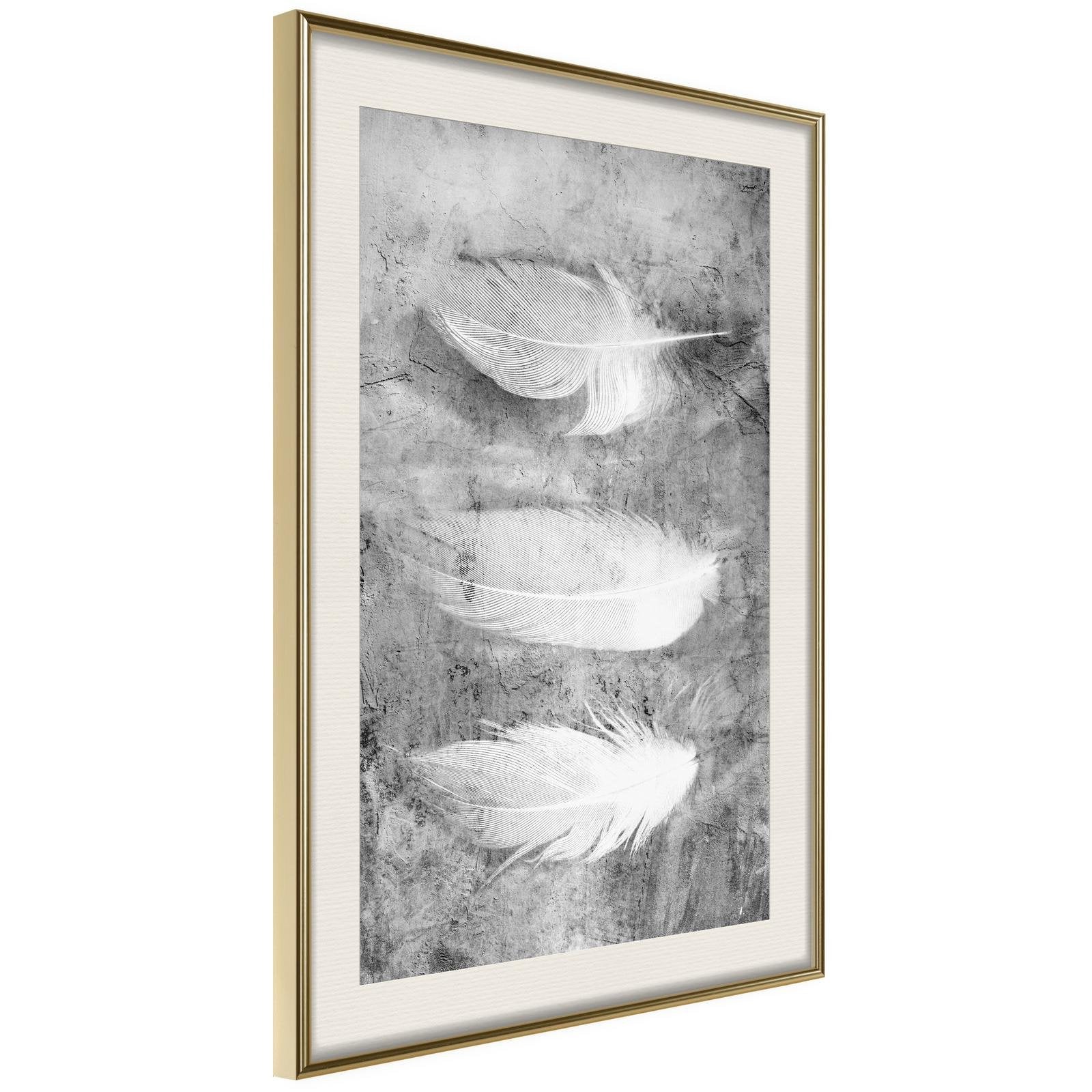 Inramad Poster / Tavla - Delicate Feathers-Poster Inramad-Artgeist-peaceofhome.se