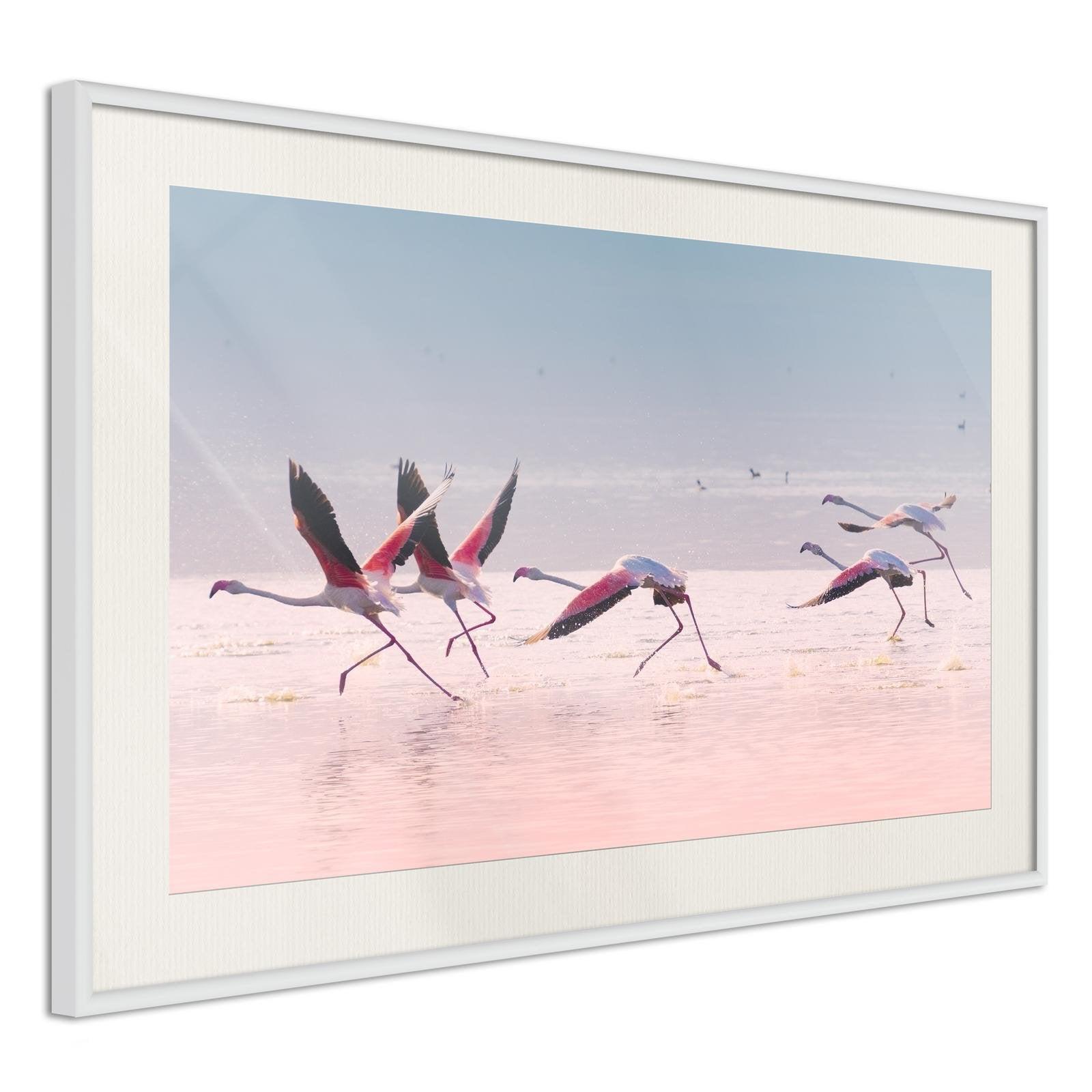 Inramad Poster / Tavla - Flamingos Breaking into a Flight-Poster Inramad-Artgeist-peaceofhome.se