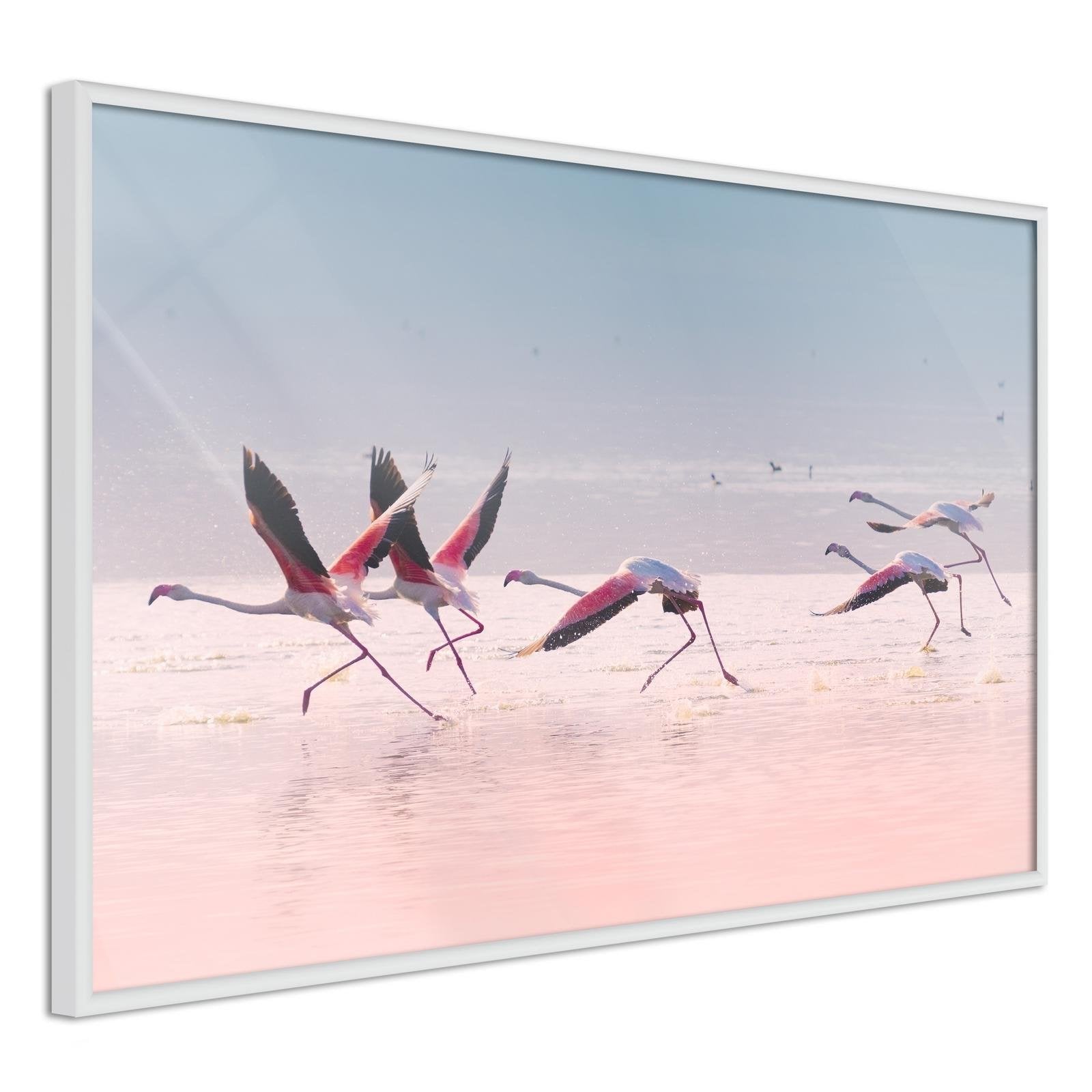 Inramad Poster / Tavla - Flamingos Breaking into a Flight-Poster Inramad-Artgeist-peaceofhome.se
